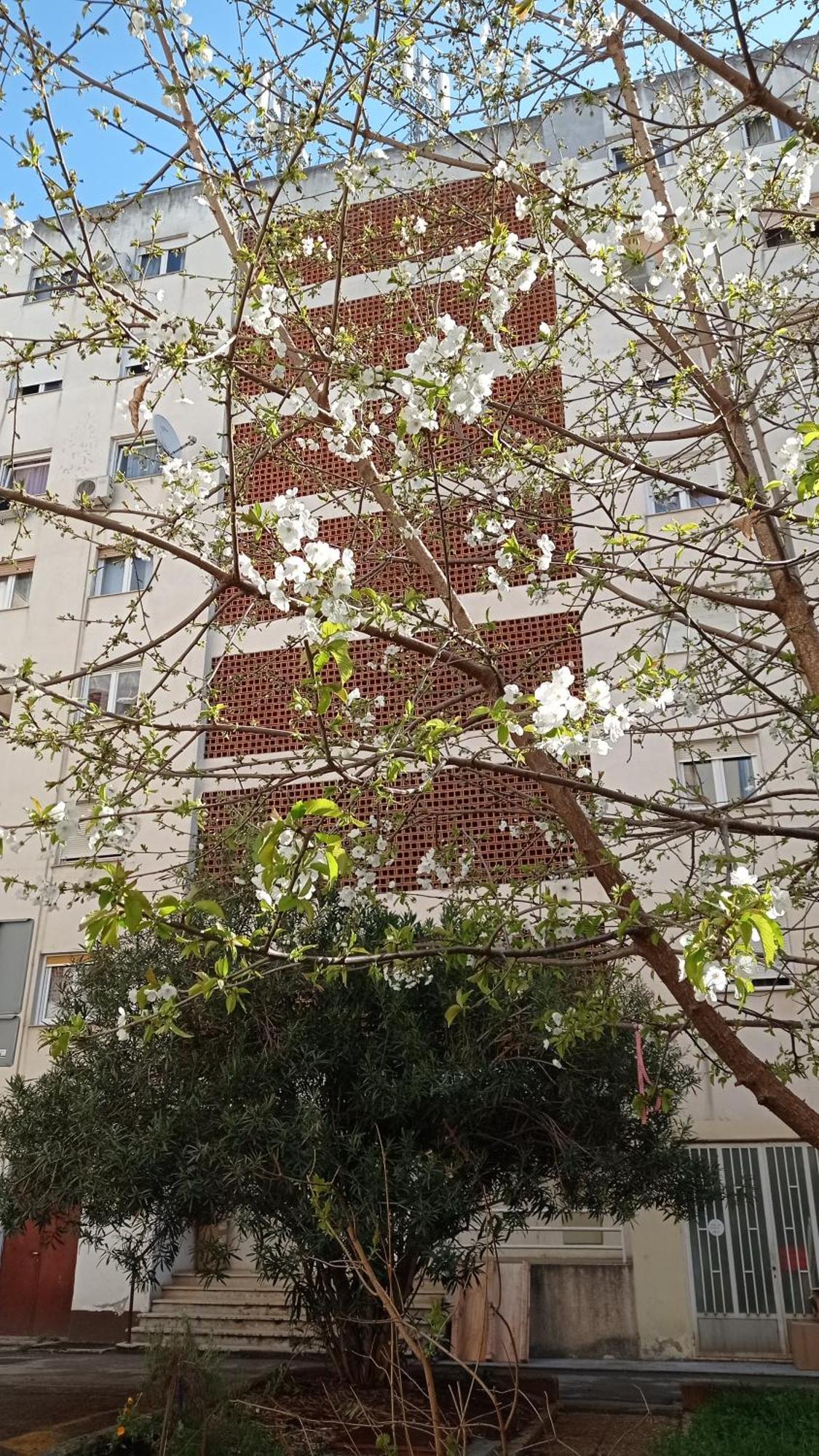 App Letta Sunset Pula Apartamento Exterior foto